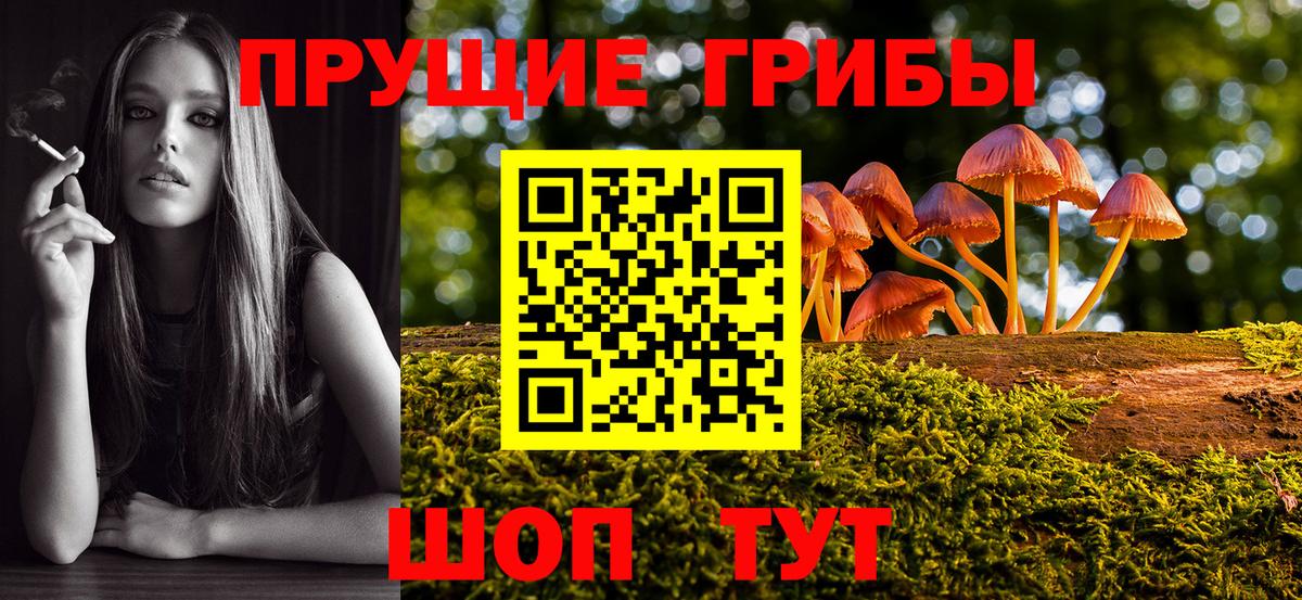 Галлюциногенные грибы прущие грибы Химки