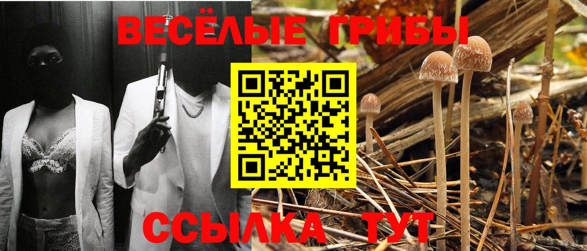 Галлюциногенные грибы Magic Shrooms  даркнет сайт  Химки  Галлюциногенные грибы GOLDEN TEACHER  Вход с VPN 